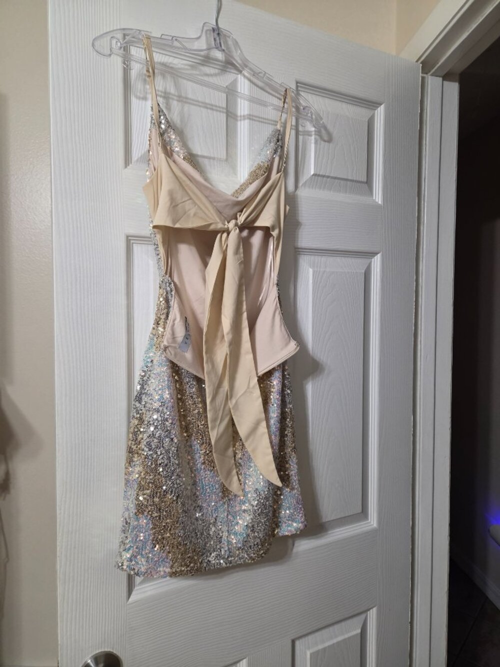 Homecoming Dress - Picture 3 of 3